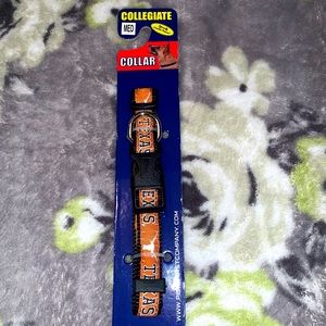 Texas longhorn collar